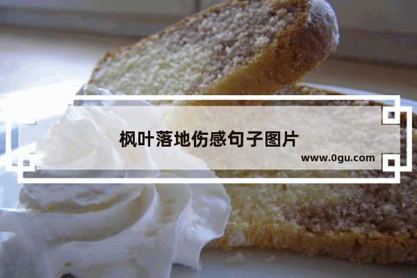 枫叶落地伤感句子图片