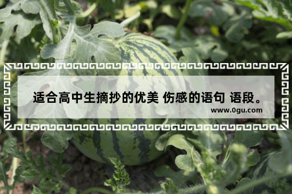 适合高中生摘抄的优美 伤感的语句 语段。急需