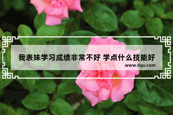 我表妹学习成绩非常不好 学点什么技能好