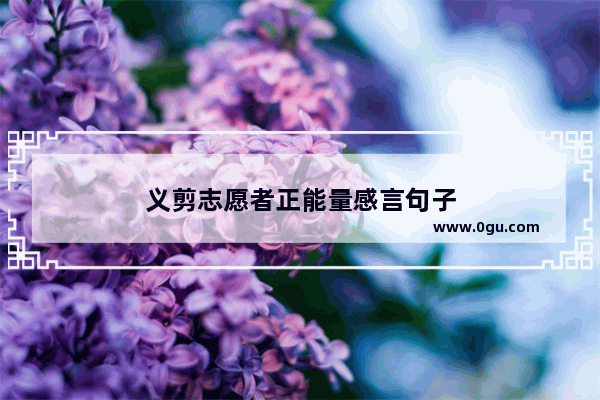 义剪志愿者正能量感言句子