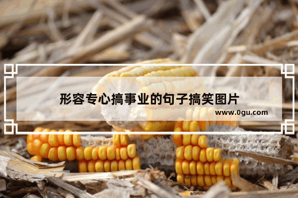 形容专心搞事业的句子搞笑图片
