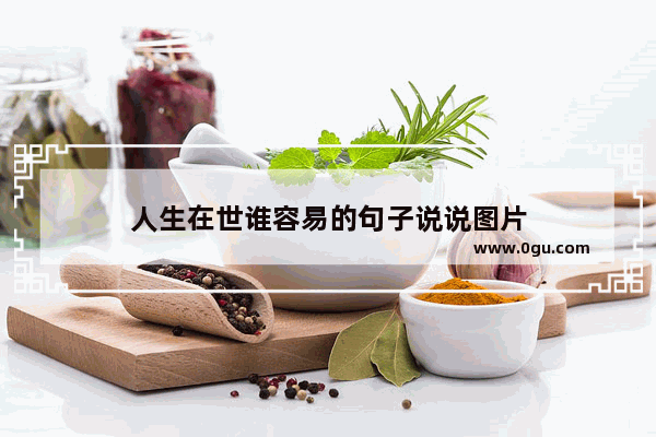 人生在世谁容易的句子说说图片