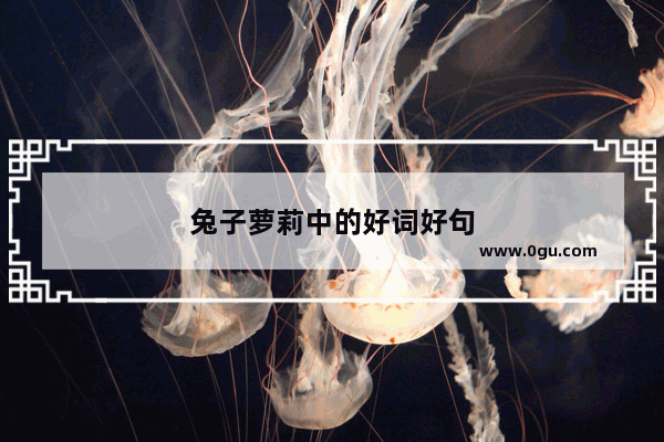 兔子萝莉中的好词好句