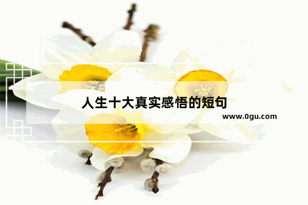 人生十大真实感悟的短句