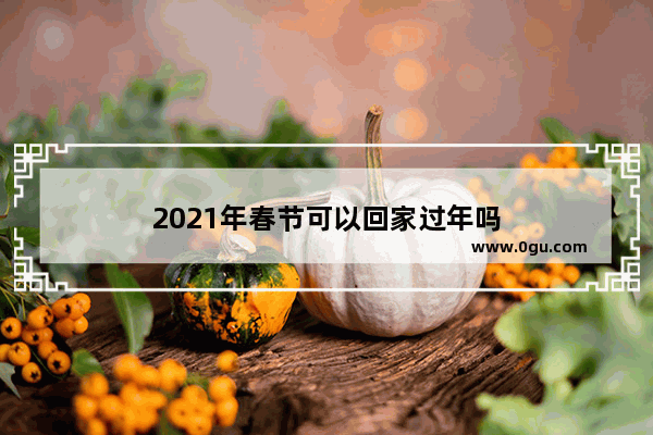 2021年春节可以回家过年吗