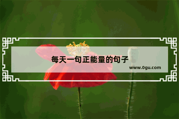 每天一句正能量的句子