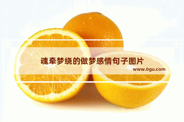 魂牵梦绕的做梦感情句子图片