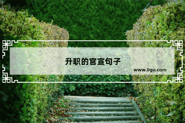 升职的官宣句子