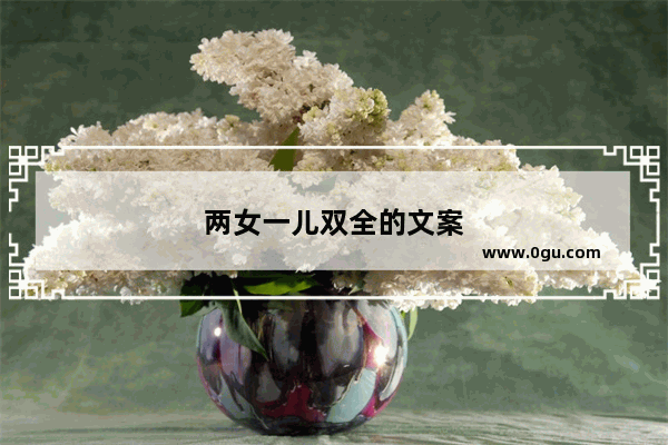 两女一儿双全的文案