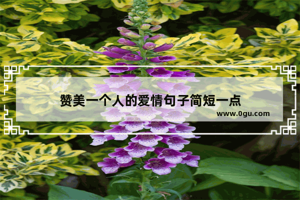 赞美一个人的爱情句子简短一点