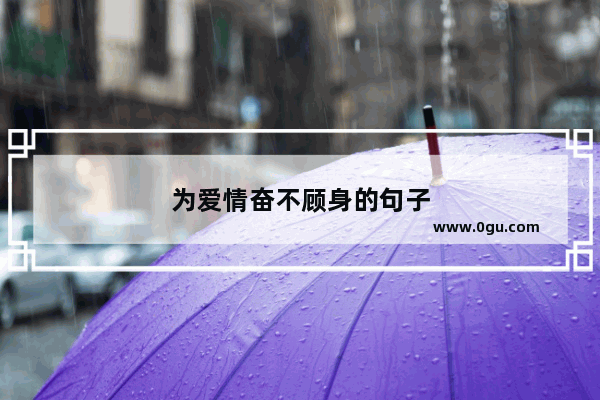 为爱情奋不顾身的句子