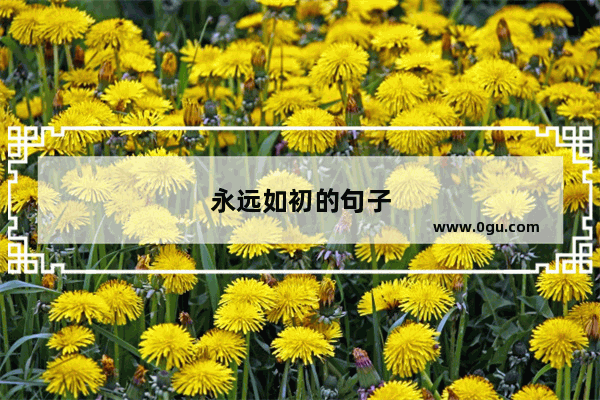 永远如初的句子