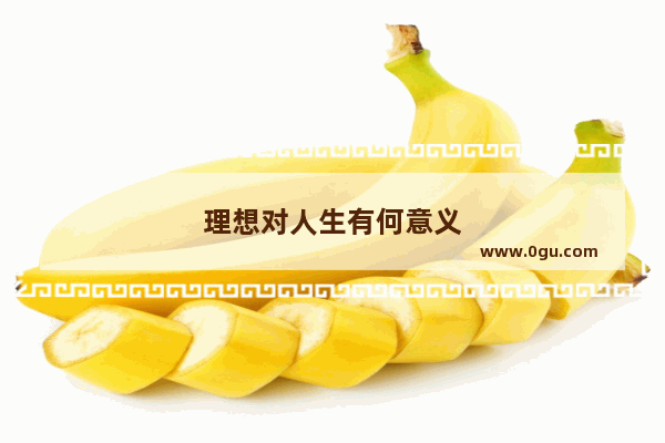 理想对人生有何意义