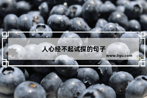 人心经不起试探的句子