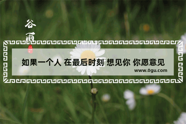 如果一个人 在最后时刻 想见你 你愿意见吗