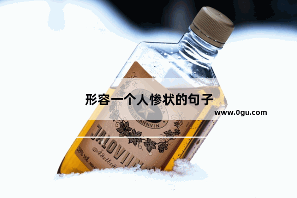 形容一个人惨状的句子