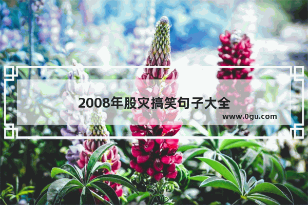 2008年股灾搞笑句子大全