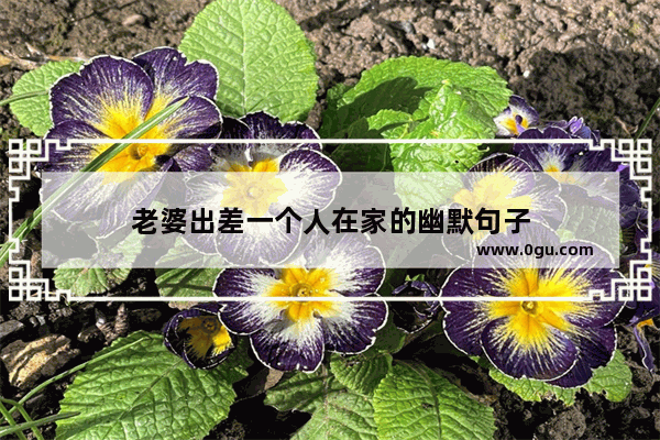 老婆出差一个人在家的幽默句子
