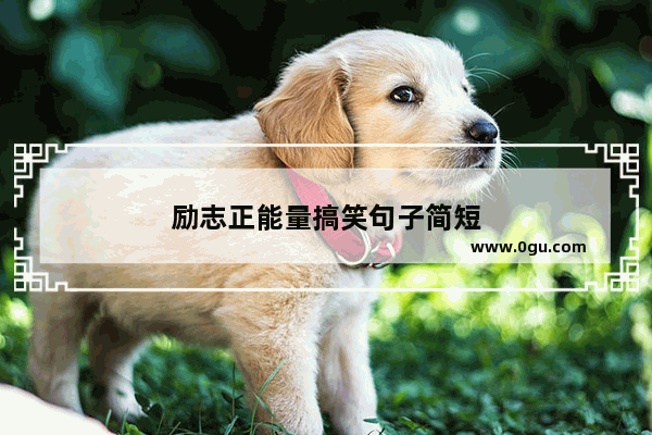 励志正能量搞笑句子简短