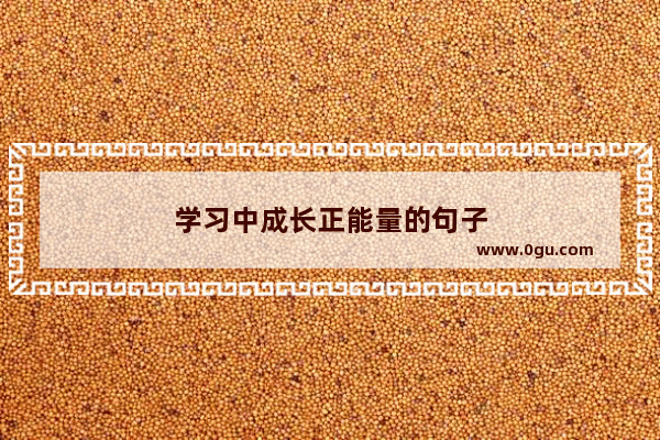 学习中成长正能量的句子