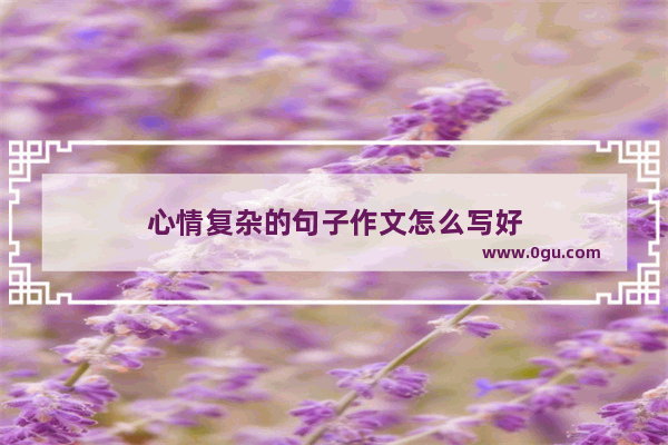 心情复杂的句子作文怎么写好
