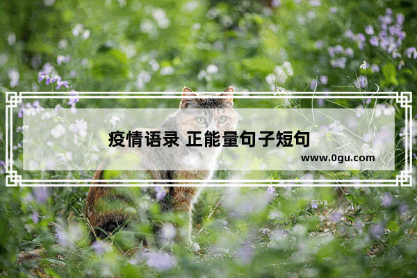 疫情语录 正能量句子短句