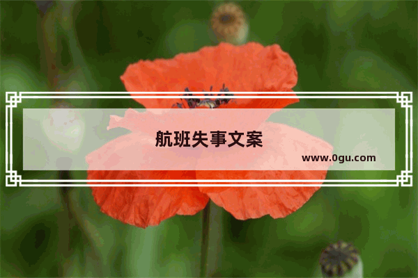 航班失事文案
