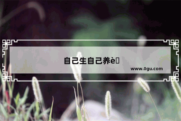 自己生自己养自己带孩子的说说