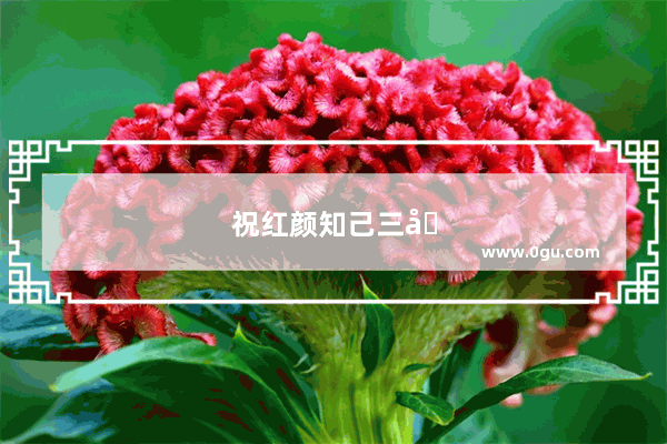 祝红颜知己三八节快乐的句子