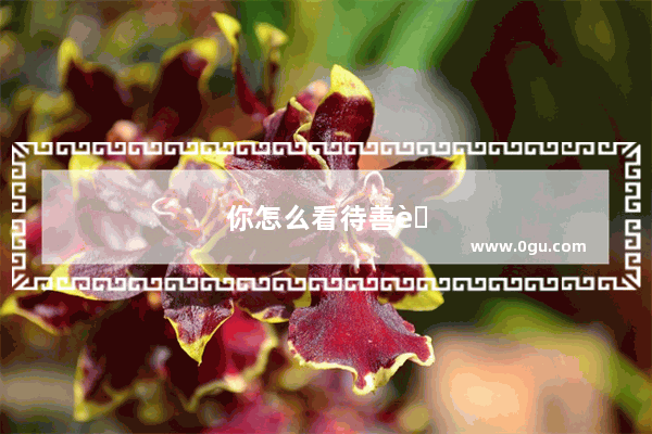 你怎么看待善良