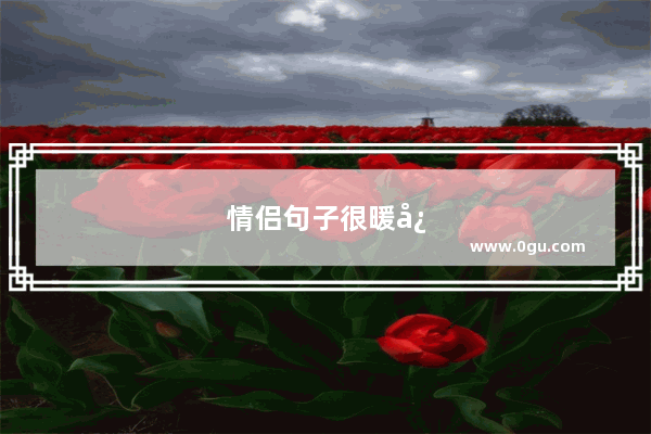 情侣句子很暖心短句