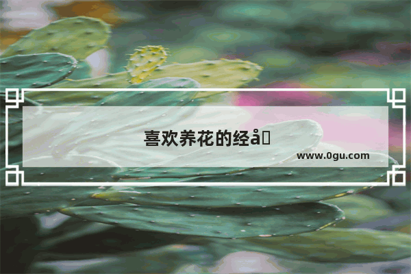 喜欢养花的经典句子