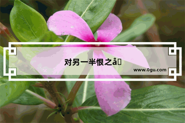 对另一半恨之入骨结局