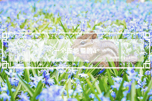 一个正能量的人能温暖别人的句子