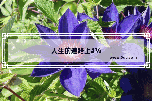人生的道路上会有多少挫折