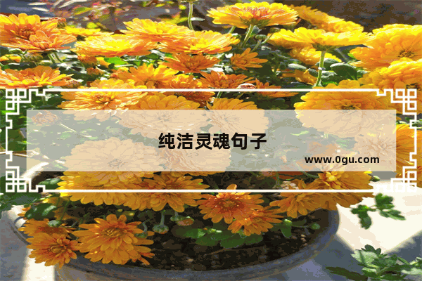 纯洁灵魂句子