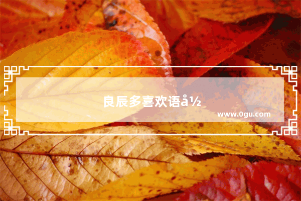 良辰多喜欢语录
