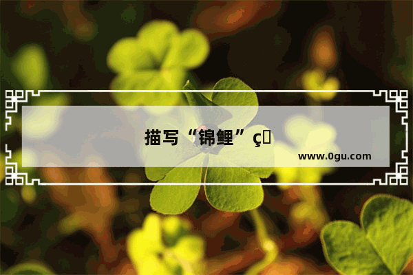 描写“锦鲤”的优美句子有哪些
