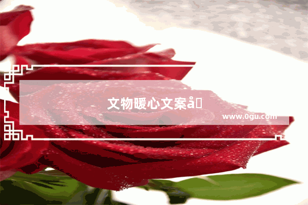 文物暖心文案句子简短