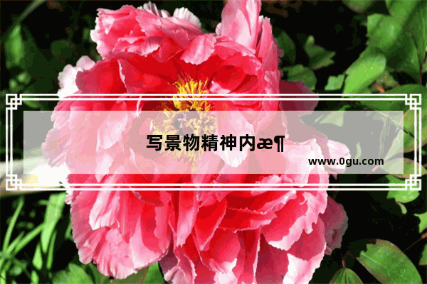 写景物精神内涵的句子