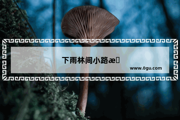 下雨林间小路文案