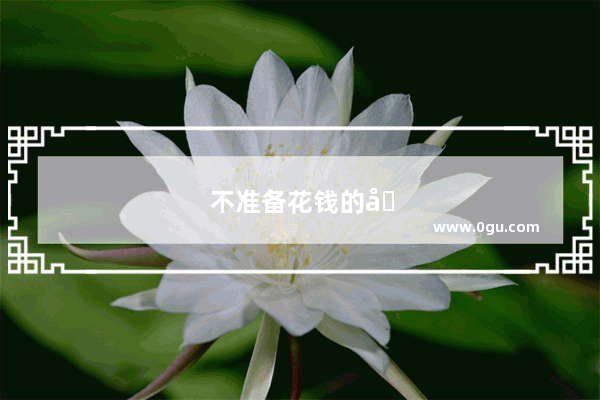 不准备花钱的句子说说心情短语