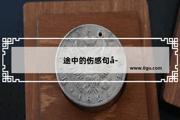 途中的伤感句子简短
