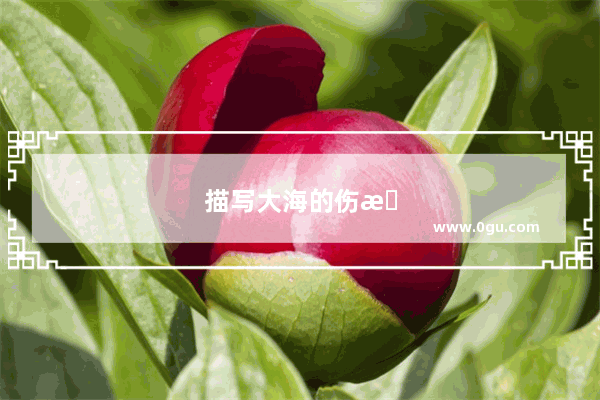 描写大海的伤感句子有哪些