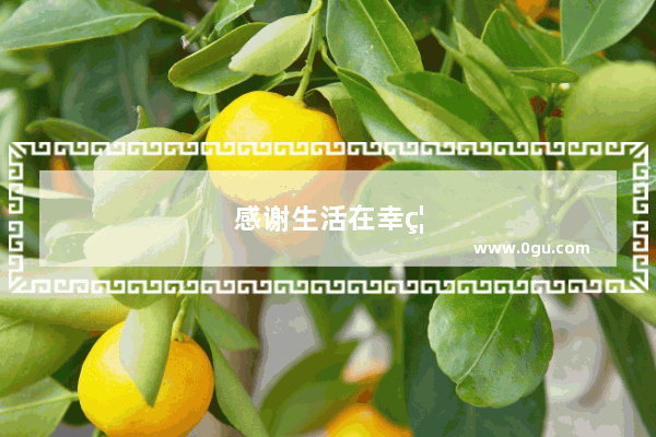 感谢生活在幸福之中的句子简短
