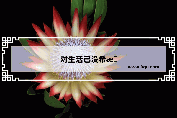 对生活已没希望的句子