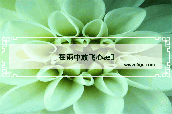 在雨中放飞心情的句子简短一点