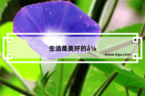 生活是美好的开始句子英文翻译