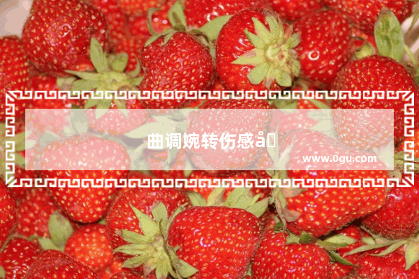 曲调婉转伤感句子简短