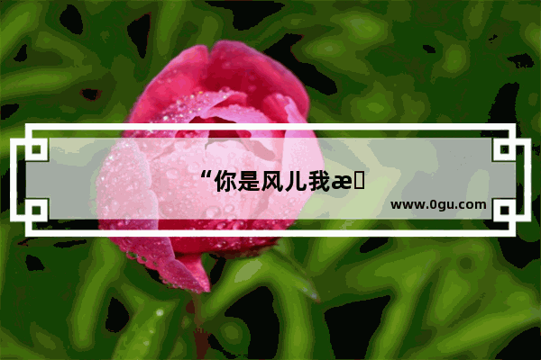 “你是风儿我是沙 缠缠绵绵到天涯”除了说爱情 也有旅游吧